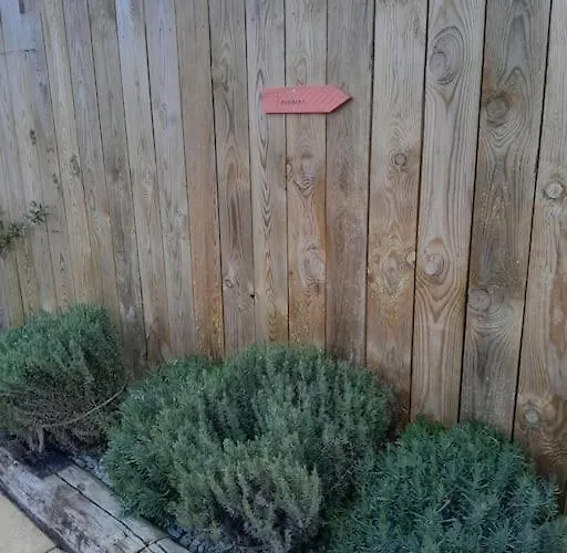 Maria Сasa de vacaciones